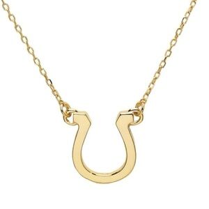 Wolf & Badger Gold Plated Horseshoe Sterling Silver Necklace